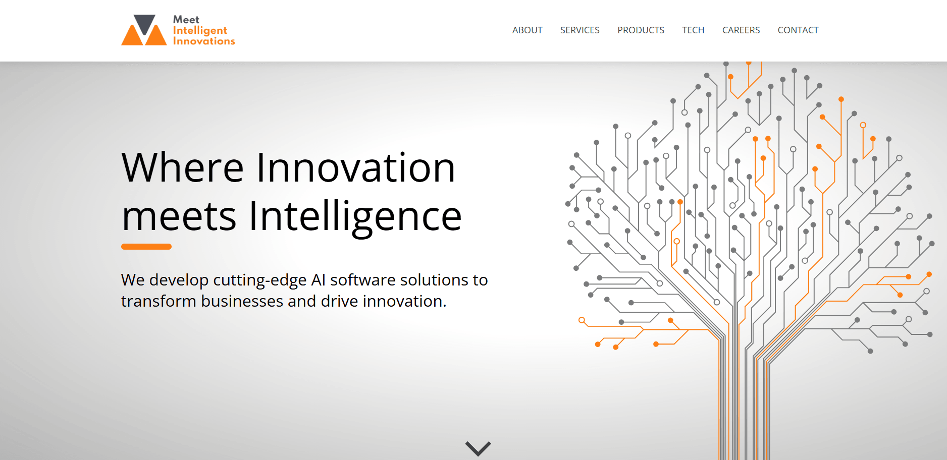 mii.hr - AI Company Website